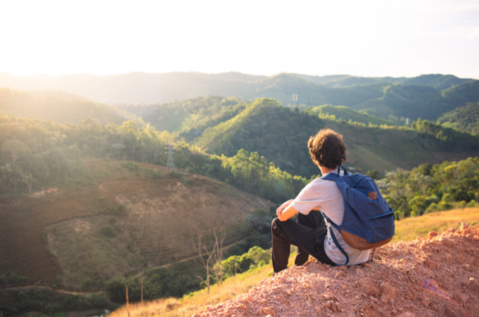 personne contemplant un paysage verdoyant